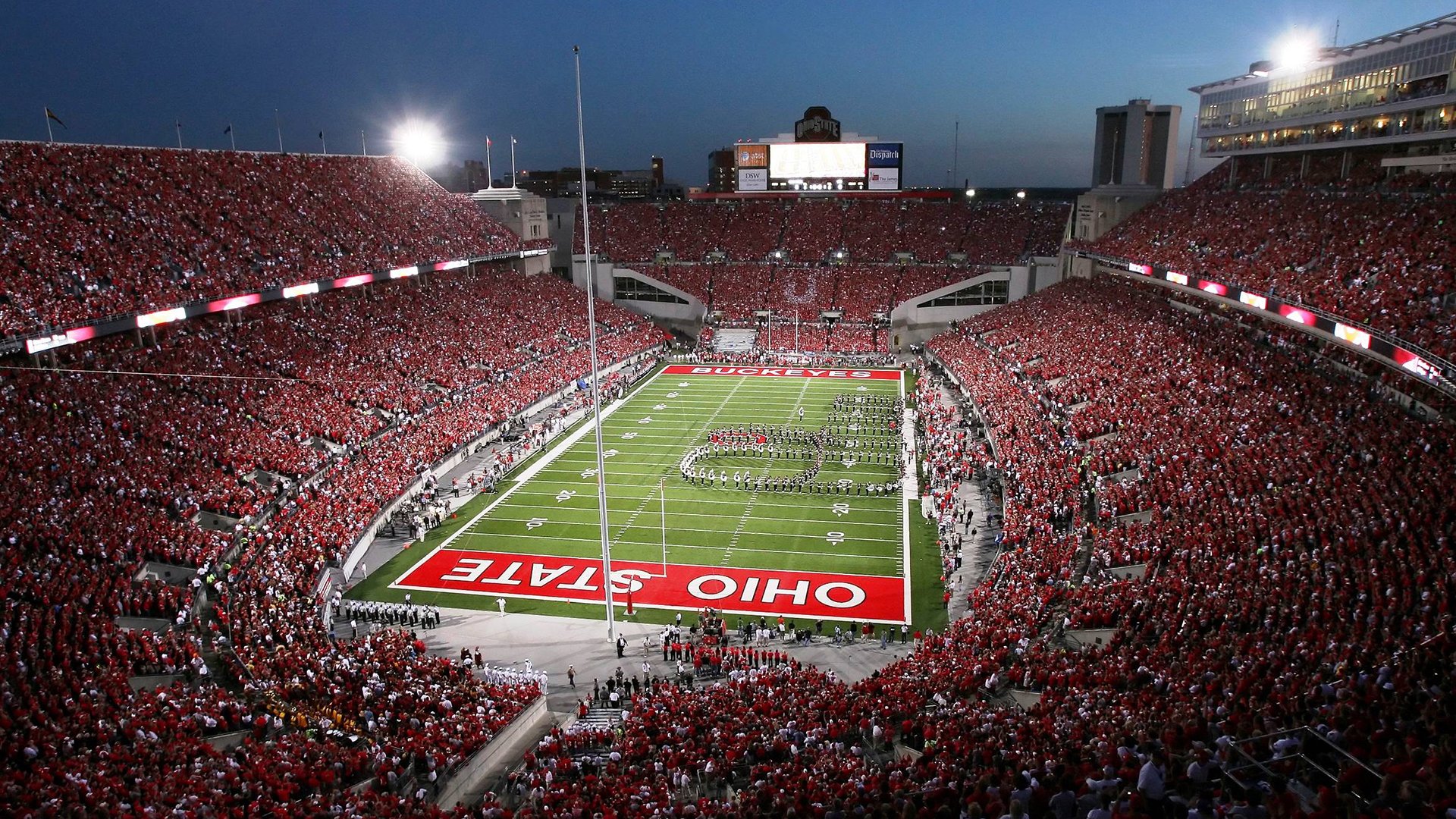 “种一棵树再开跑”活动 暖身后集体植树再上路